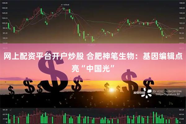 网上配资平台开户炒股 合肥神笔生物：基因编辑点亮“中国光”