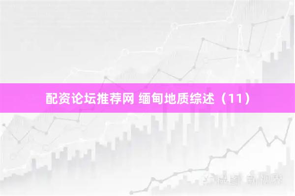 配资论坛推荐网 缅甸地质综述（11）
